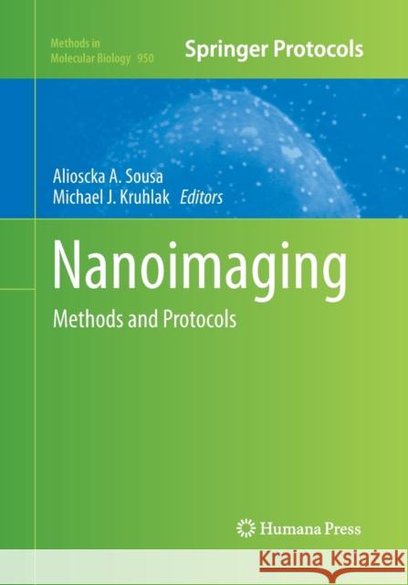 Nanoimaging: Methods and Protocols Sousa, Alioscka A. 9781493959617 Humana Press