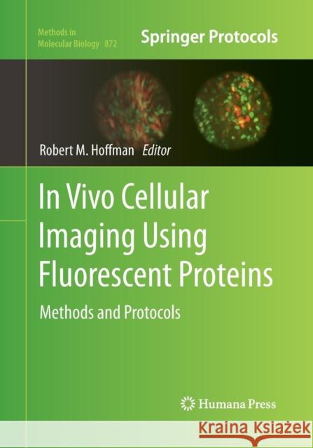 In Vivo Cellular Imaging Using Fluorescent Proteins: Methods and Protocols Hoffman, Robert 9781493961498