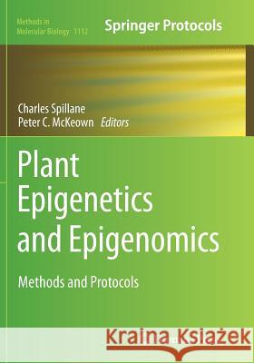Plant Epigenetics and Epigenomics: Methods and Protocols Spillane, Charles 9781493962297 Humana Press