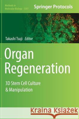 Organ Regeneration: 3D Stem Cell Culture & Manipulation Tsuji, Takashi 9781493969470 Humana Press