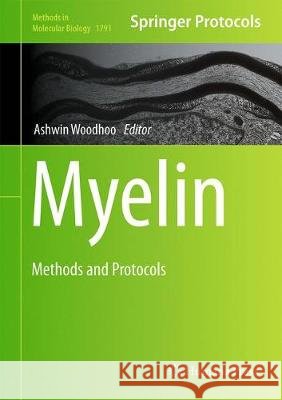 Myelin: Methods and Protocols Woodhoo, Ashwin 9781493978618