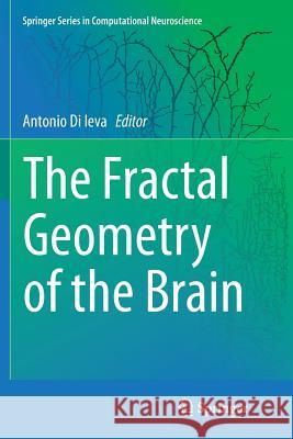 The Fractal Geometry of the Brain Antonio D 9781493981489 Springer
