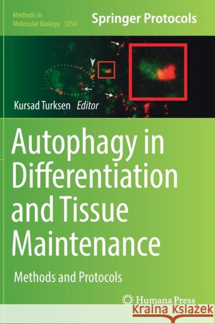 Autophagy in Differentiation and Tissue Maintenance: Methods and Protocols Turksen, Kursad 9781493987474