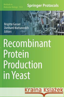 Recombinant Protein Production in Yeast Brigitte Gasser Diethard Mattanovich 9781493990238 Humana Press