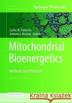 Mitochondrial Bioenergetics: Methods and Protocols Palmeira, Carlos M. 9781493992980 Humana