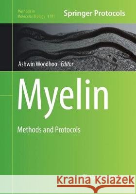 Myelin: Methods and Protocols Woodhoo, Ashwin 9781493993079