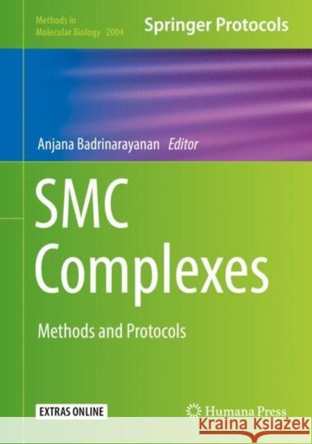 Smc Complexes: Methods and Protocols Badrinarayanan, Anjana 9781493995196