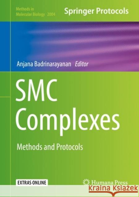 Smc Complexes: Methods and Protocols Badrinarayanan, Anjana 9781493995196 Humana Press