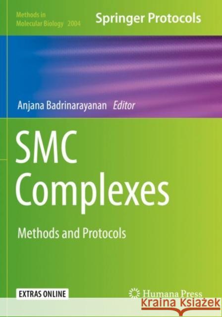 Smc Complexes: Methods and Protocols Badrinarayanan, Anjana 9781493995226