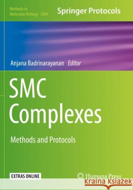 Smc Complexes: Methods and Protocols Badrinarayanan, Anjana 9781493995226 Humana Press Inc.