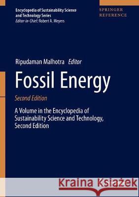 Fossil Energy  9781493997626 Springer