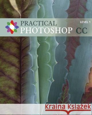 Practical Photoshop CC Level 1: Practical Photoshop CC Level 1 Donald Laird Corrine Haverinen Windsor Green 9781494251260