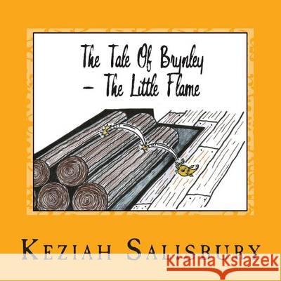 The Tale Of Brynley: The Little Flame Salisbury, Keziah May 9781494311483