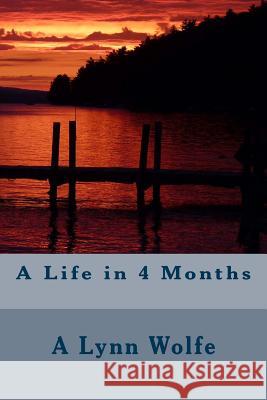 A Life in 4 Months A. Lynn Wolfe 9781494328337 Createspace