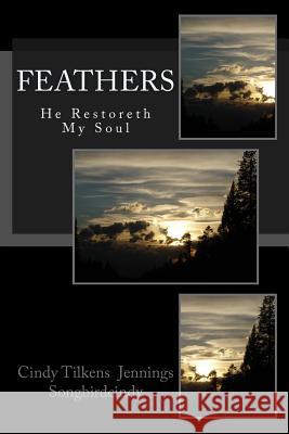 Feathers: He Restoreth My Soul Cindy Tilkens Jennings 9781494355951