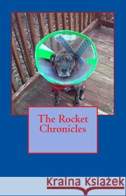 The Rocket Chronicles Kate Sumrow 9781494381059 Createspace