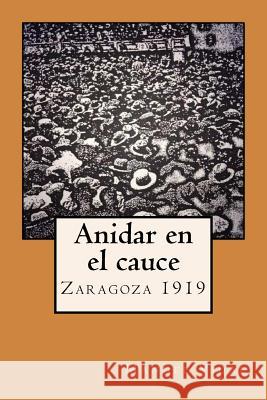 Anidar en el cauce Vidal, Manuel 9781494402389 Createspace