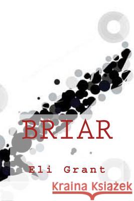 Briar: A Scarecrow Story Eli Grant 9781494409289 Createspace