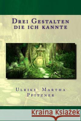 Drei Gestalten die ich kannte Pfitzner, Ulrike Martha 9781494413927