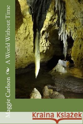 A World Without Time Maggie Carlson 9781494453169 Createspace