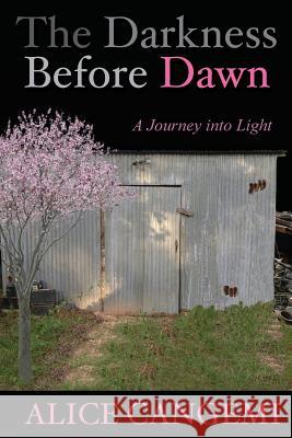 The Darkness Before Dawn: A Journey Into Light Alice Cangemi Cathy Armstrong 9781494476311 Createspace