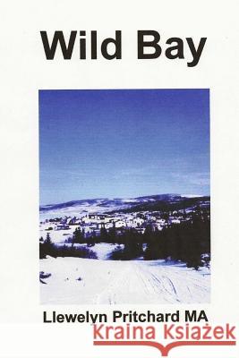Wild Bay Llewelyn Pritchard 9781494480509 Createspace