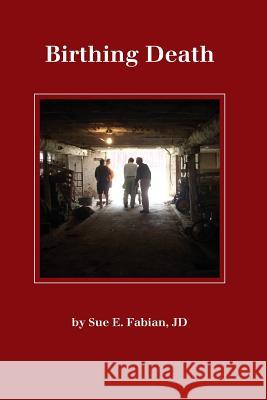 Birthing Death MS Sue E. Fabian 9781494705701 Createspace