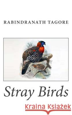 Stray Birds Rabindranath Tagore 9781494820428 Createspace