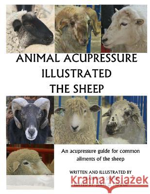 Animal Acupressure Illustrated The Sheep Smith, Deanna S. 9781494833909 Createspace