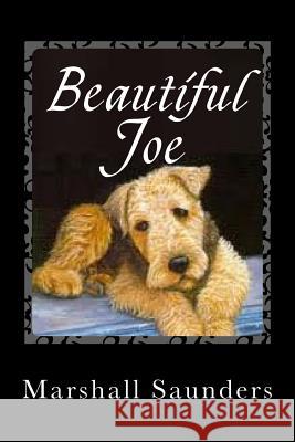 Beautiful Joe Marshall Saunders 9781494873745 Createspace