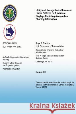 Utility and Recognition of Lines and Linear Patterns on Electronic Displays Depicting Aeronautical Charting Information John a. Volpe National Transportation Sy 9781494920487 Createspace