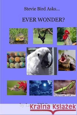 Stevie Bird Asks, Ever Wonder? Christian Edition Larry B. Bertram 9781494935177 Createspace