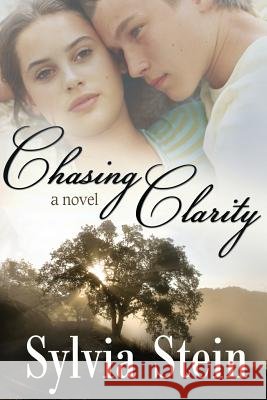 Chasing Clarity Sylvia Stein 9781494964726