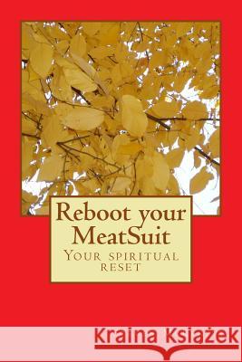 Reboot your MeatSuit: Your Spiritual Reset McKenzie, Steven Jay 9781494989682
