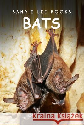 Bats - Sandie Lee Books Curious Kids Press 9781494998424 Createspace