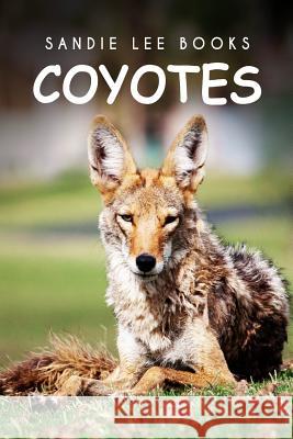 Coyotes - Sandie Lee Books Curious Kids Press 9781494999049 Createspace