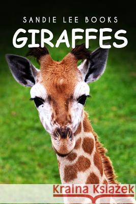 Giraffes - Sandie Lee Books Curious Kids Press 9781494999414 Createspace