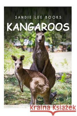 Kangaroos - Sandie Lee Books Sandie Lee Books 9781495209833 Createspace