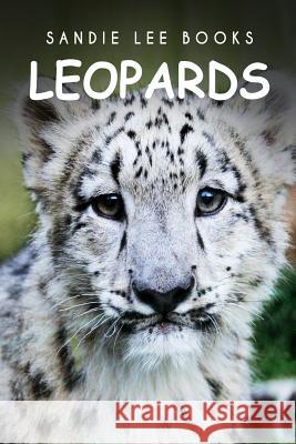 Leopards - Sandie Lee Books Sandie Lee Books 9781495209918 Createspace