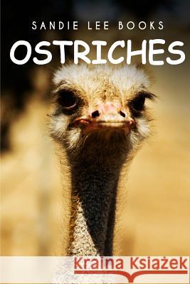 Ostriches - Sandie Lee Books Sandie Lee Books 9781495210136 Createspace