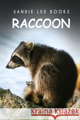 Raccoon - Sandie Lee Books Sandie Lee Books 9781495211096 Createspace