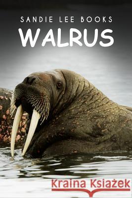 Walrus - Sandie Lee Books Sandie Lee Books 9781495211430 Createspace