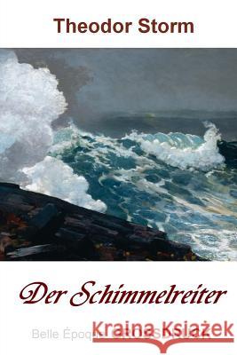 Der Schimmelreiter - Grossdruck Theodor Storm 9781495214905 Createspace Independent Publishing Platform