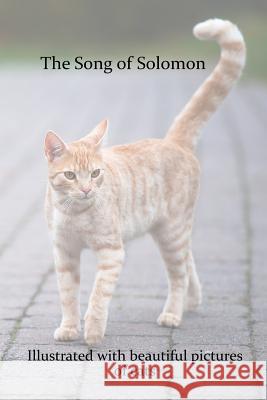 The Song of Solomon: Illustrated with Beautiful Pictures of Cats Jacek Wolnosc 9781495216817 Createspace