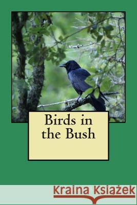 Birds in the Bush Bradford Torrey 9781495398292 Createspace