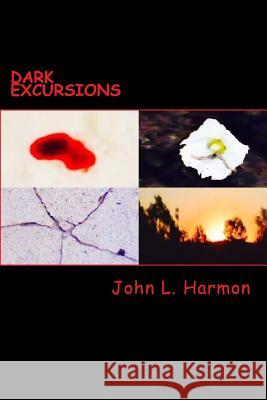 Dark Excursions: (the Complete Set) John L. Harmon 9781495409943