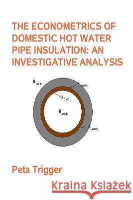 The Econometrics of Domestic Hot Water Pipe Insulation Dr Peta Trigger 9781495472008 Createspace