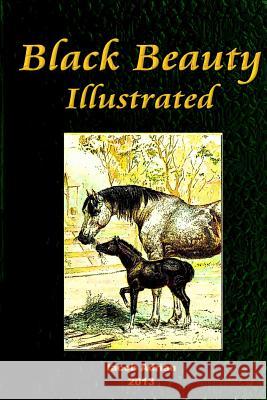 Black Beauty Illustrated Iacob Adrian 9781495939525 Createspace