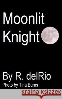 Moonlit Knight R. Delrio 9781495956768 Createspace