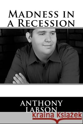 Madness In a Recession Fleming, Stephanie 9781495967870 Createspace